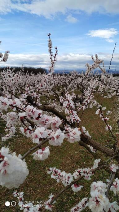 Le Gite De La Vieille Pierre 'Climatise' Villa Allex Dış mekan fotoğraf