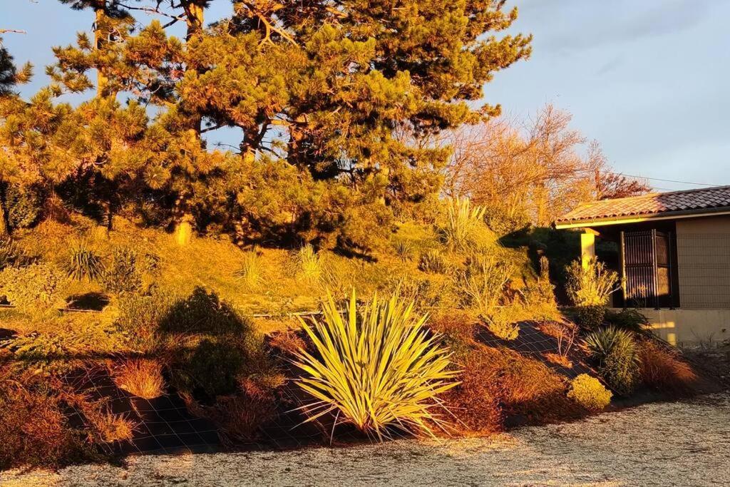 Le Gite De La Vieille Pierre 'Climatise' Villa Allex Dış mekan fotoğraf