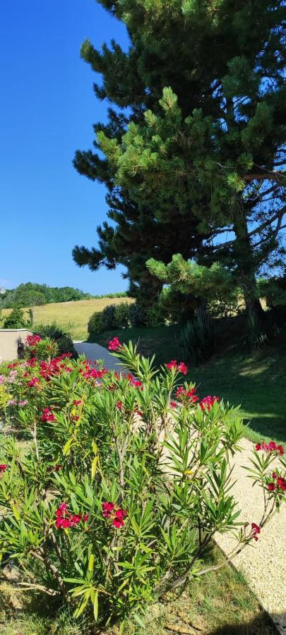 Le Gite De La Vieille Pierre 'Climatise' Villa Allex Dış mekan fotoğraf